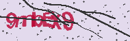 Captcha認証コード