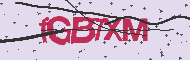 Captcha認証コード